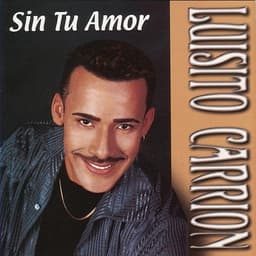 Sin Tu amor cover